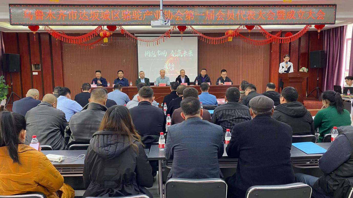 乌鲁木齐市达坂城区骆驼协会第一届会员代表大会暨成立大会